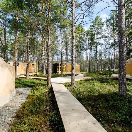 Glod Aurora Canvas Dome Alta Exterior photo
