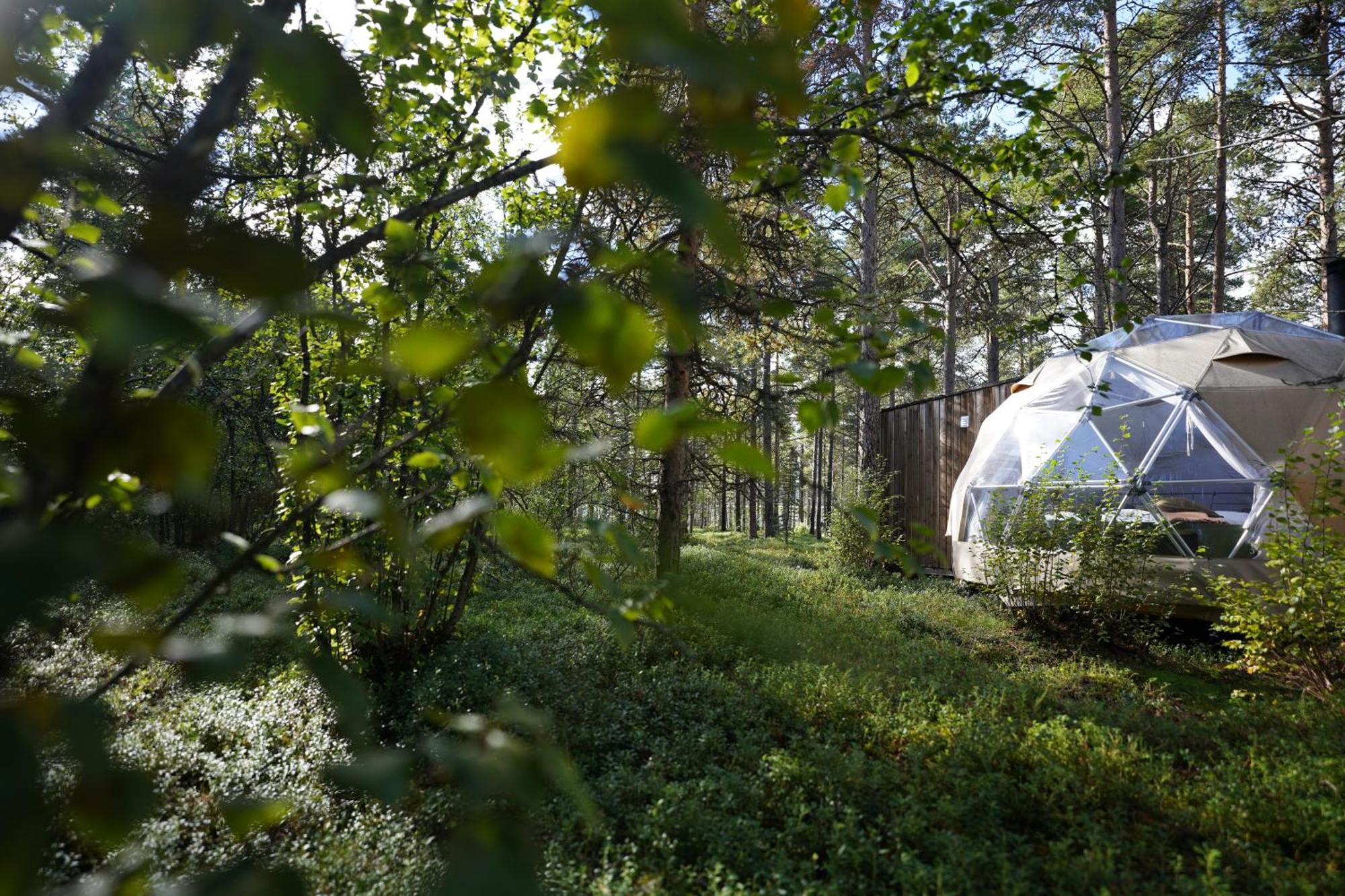Glod Aurora Canvas Dome Alta Exterior photo